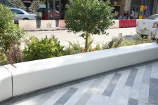 Səs-küysüz, göz oxşayan “Xaqani” bağından FOTOREPORTAJ