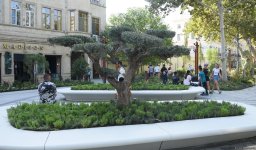 Səs-küysüz, göz oxşayan “Xaqani” bağından FOTOREPORTAJ