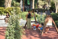 Səs-küysüz, göz oxşayan “Xaqani” bağından FOTOREPORTAJ