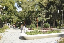 Səs-küysüz, göz oxşayan “Xaqani” bağından FOTOREPORTAJ