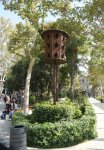Səs-küysüz, göz oxşayan “Xaqani” bağından FOTOREPORTAJ