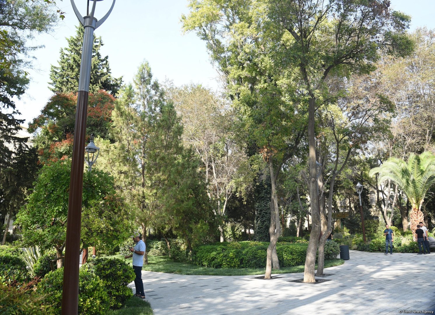 Səs-küysüz, göz oxşayan “Xaqani” bağından FOTOREPORTAJ