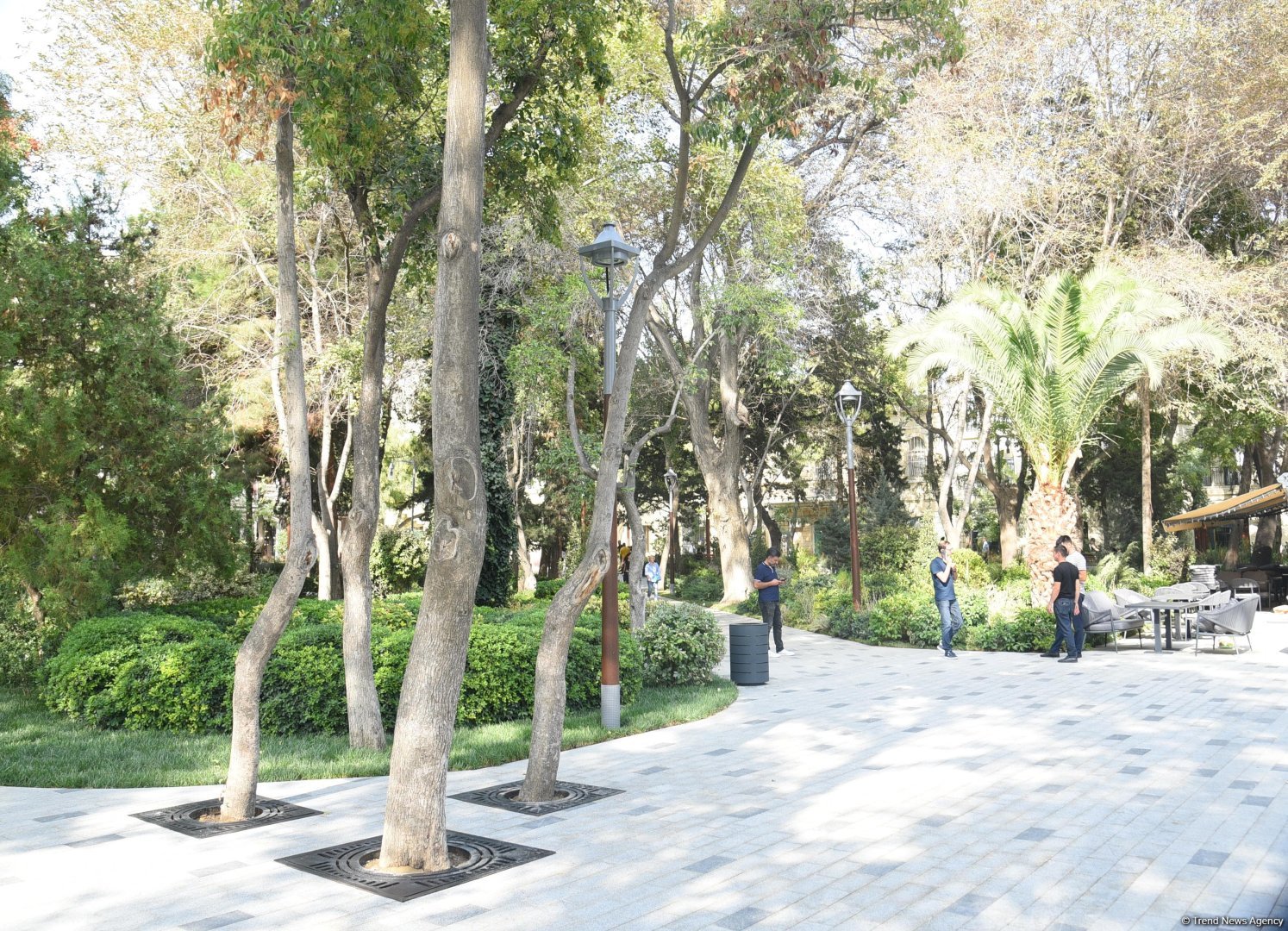 Səs-küysüz, göz oxşayan “Xaqani” bağından FOTOREPORTAJ