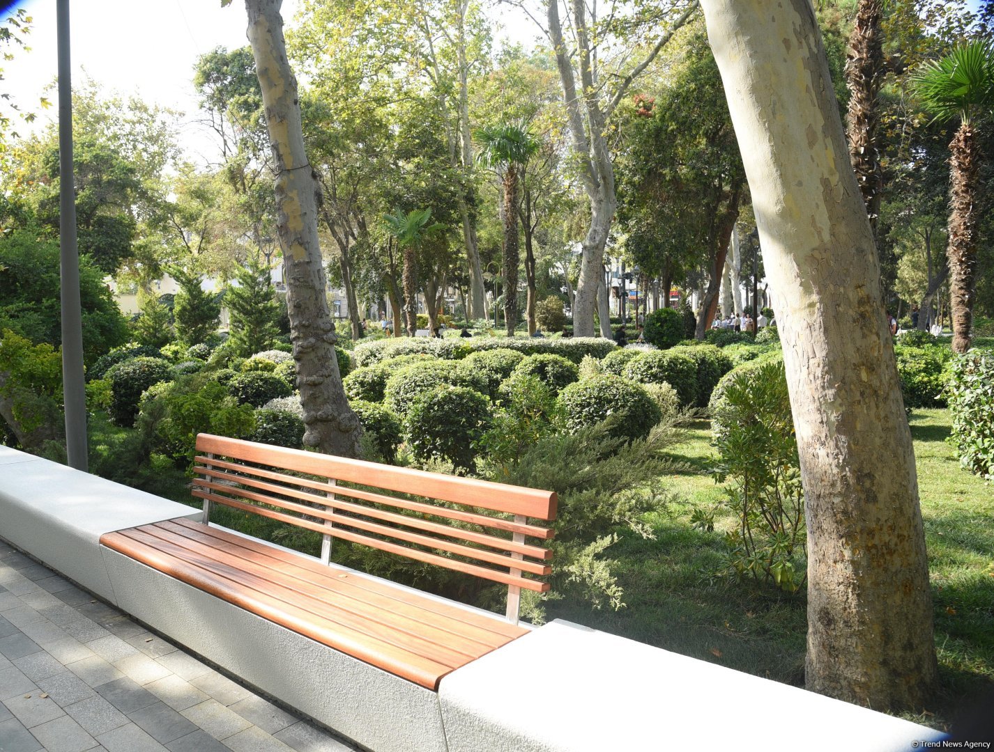 Səs-küysüz, göz oxşayan “Xaqani” bağından FOTOREPORTAJ