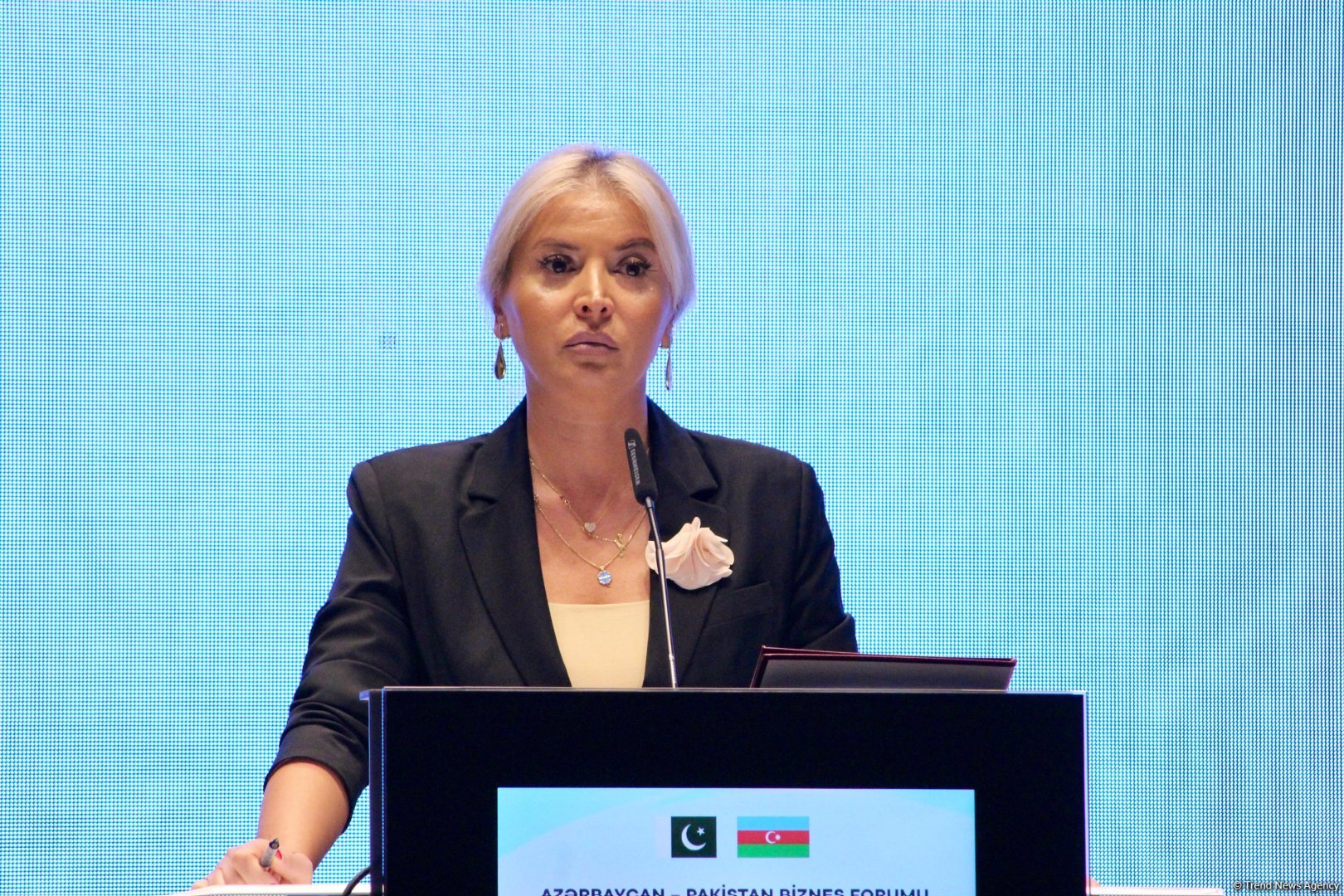 Bakıda Azərbaycan-Pakistan Biznes Forumu fəaliyyətə başlayıb (FOTO) (ƏLAVƏ OLUNUB)