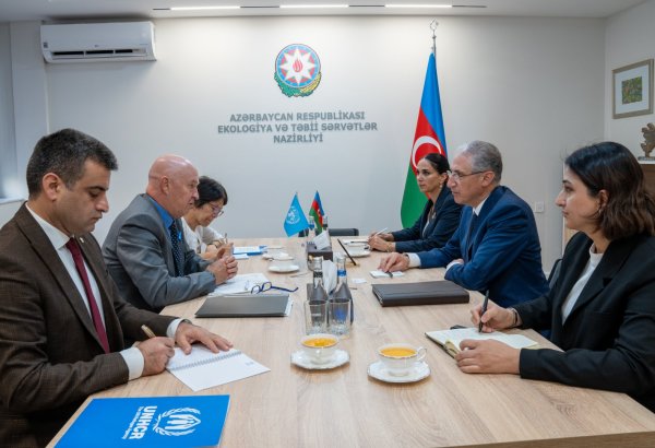 Muxtar Babayev BMT nümayəndəsi ilə COP29-la bağlı hazırlıq tədbirlərini müzakirə edib
