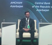 Bakıda ‘‘Beynəlxalq Kibertəhlükəsizlik Günləri’’ konfransının ikinci günü keçirilib (FOTO) (ƏLAVƏ EDİLİB)