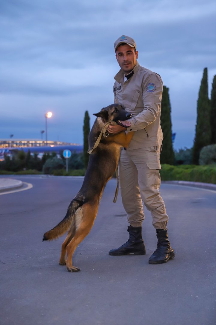Daha 6 minaaxtaran it əməliyyatlara cəlb olunacaq - RƏSMİ (FOTO)