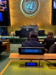 Azərbaycanın nümayəndə heyəti BMT-nin Gələcək Sammitində iştirak edir (FOTO)