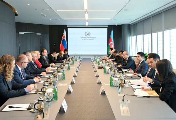 Azərbaycan-Slovakiya biznes forumu keçiriləcək