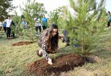 Heydər Əliyev Fondunun prezidenti Mehriban Əliyeva və ailə üzvləri “Gənclik” parkında ağacəkmə aksiyasında iştirak ediblər (FOTO)