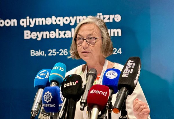 Azərbaycan IOTA-nin etibarlı üzvüdür - İcraçı katib