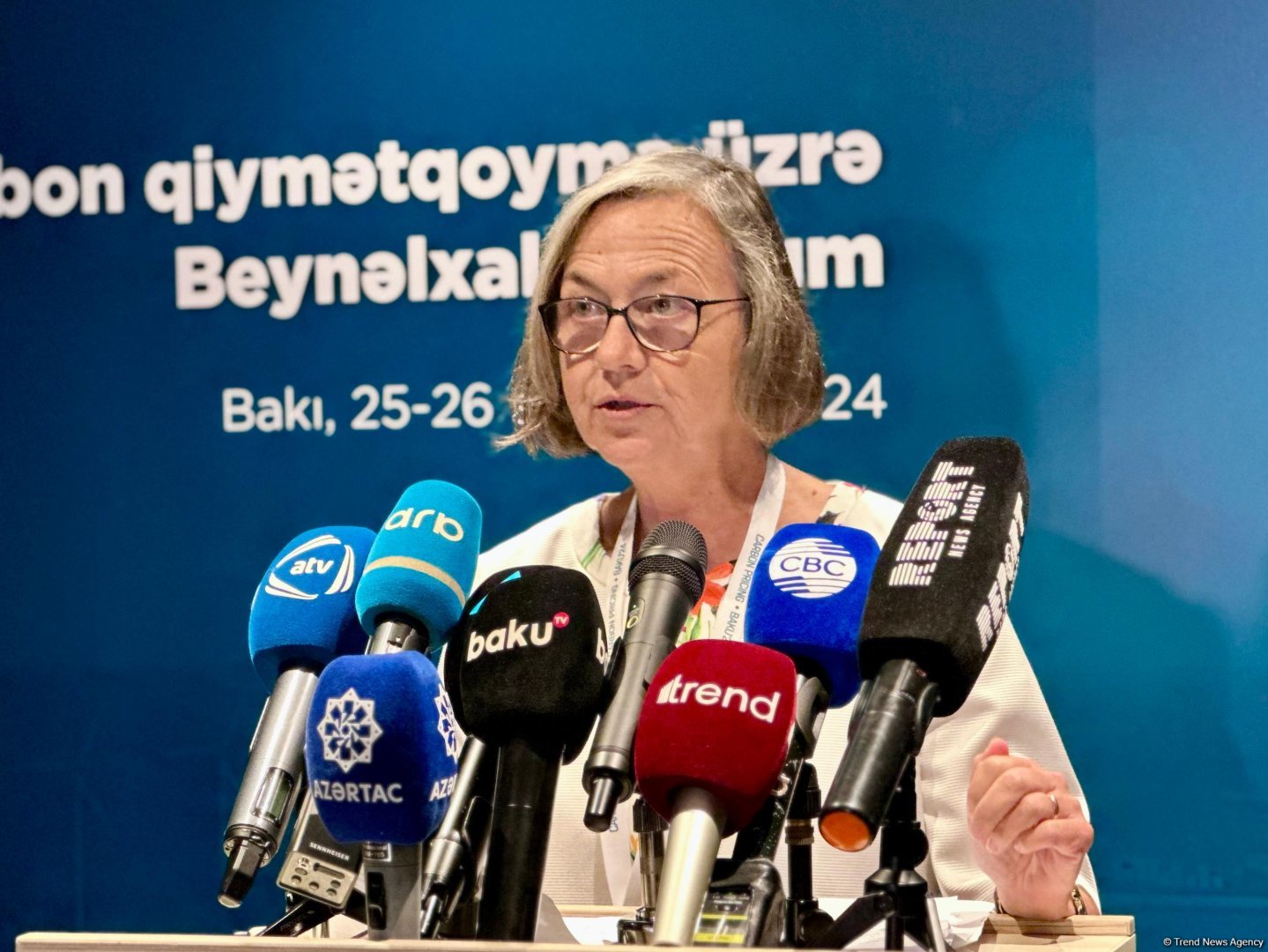 Azərbaycan IOTA-nin etibarlı üzvüdür - İcraçı katib
