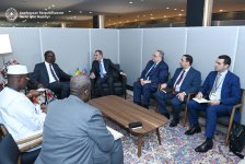 Azərbaycanın və Malinin xarici işlər nazirləri COP29-u müzakirə ediblər (FOTO) (YENİLƏNİB)