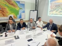 Bakının bu ərazisində yaşıllıqlar köçürüləcək (FOTO)