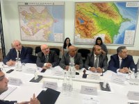 Bakının bu ərazisində yaşıllıqlar köçürüləcək (FOTO)