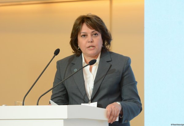Son illərdə Azərbaycan görünməmiş sayda daşqınlarla üzləşib, istilik dalğaları çoxalıb - Nazir müavini