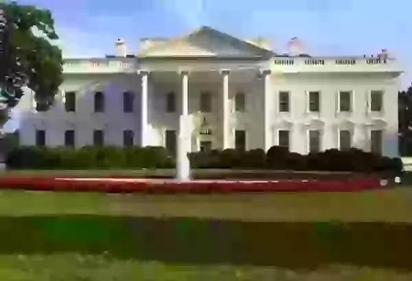 Tramp Ağ Evdə keçiriləcək UFC turnirinin bəzi təfərrüatlarını bölüşüb