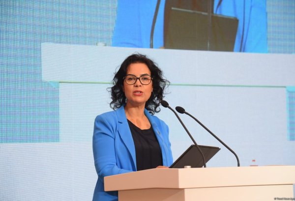 Azərbaycan iqlim dəyişikliyi gündəliyi və mübarizədə öndə gələn ölkələrdəndir - FAO