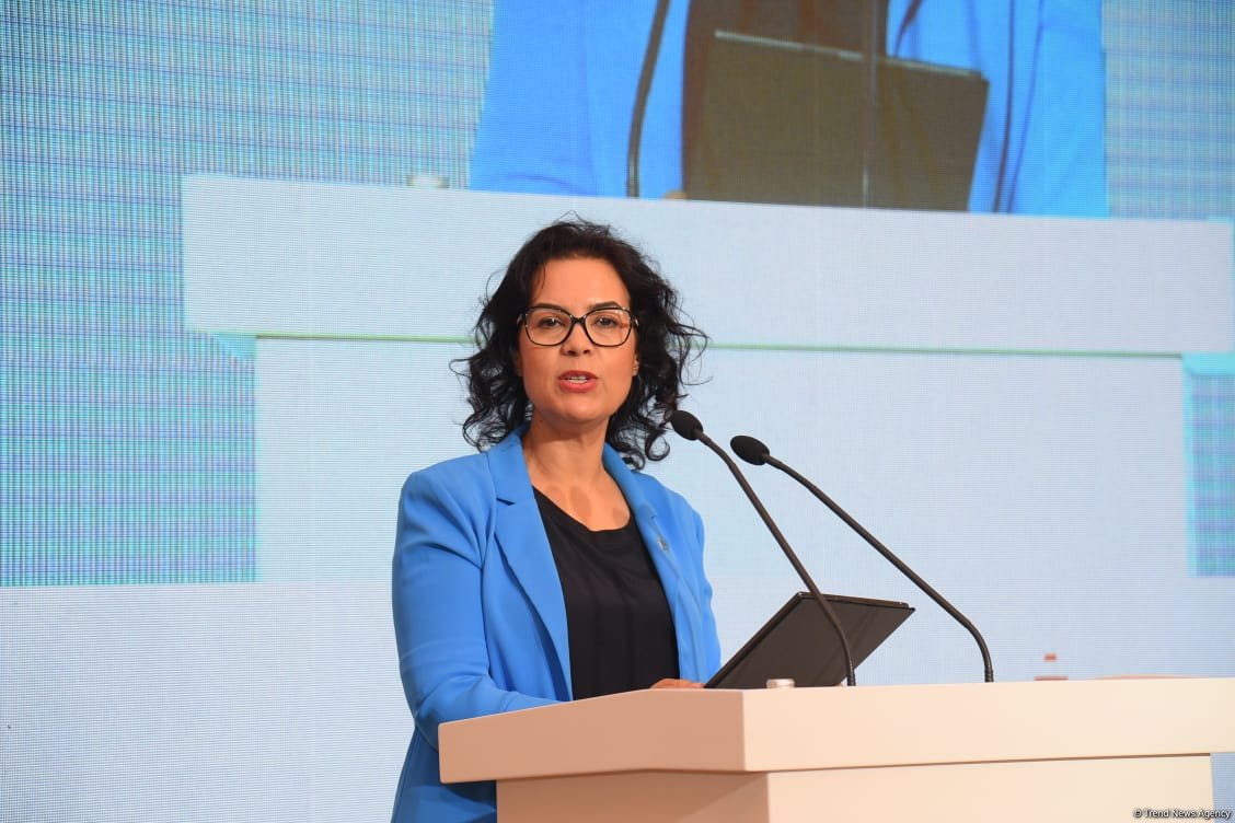 Azərbaycan iqlim dəyişikliyi gündəliyi və mübarizədə öndə gələn ölkələrdəndir - FAO