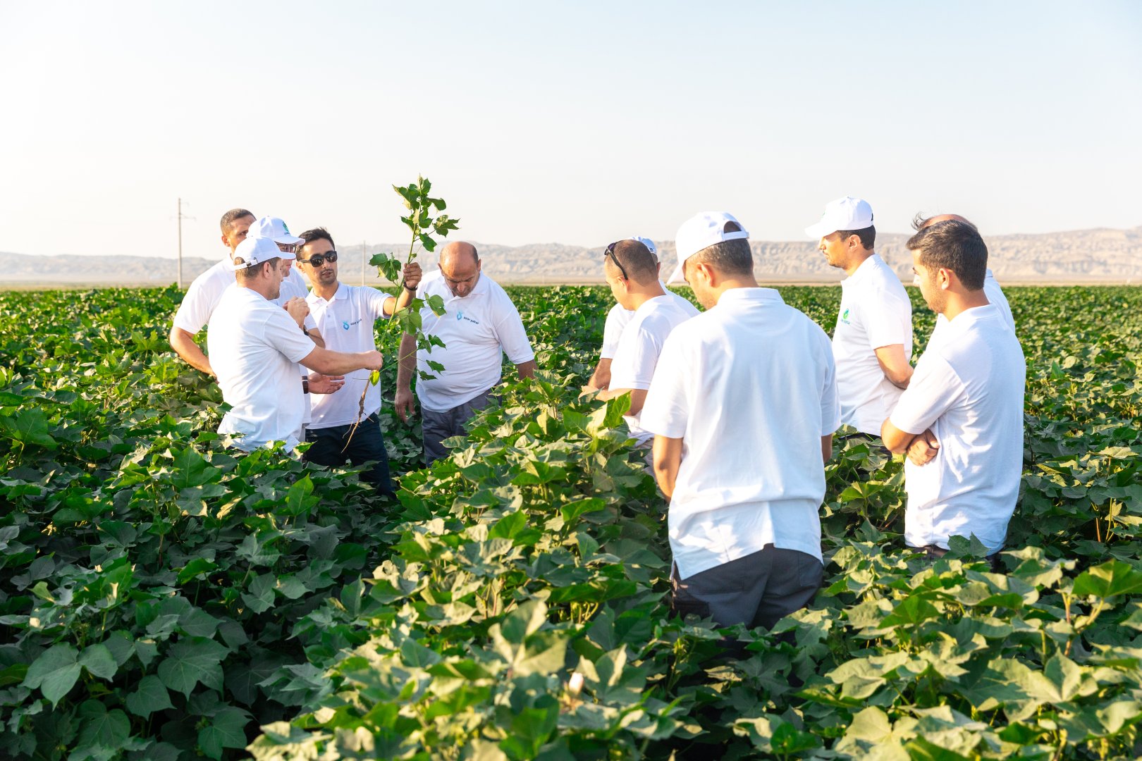 "Azərşəkər" və "Global Textil" şirkətlərinin birgə layihəsinin 2026-cı ilin ortalarına qədər tam şəkildə başa çatdırılması planlaşdırılır (Özəl) (FOTO)