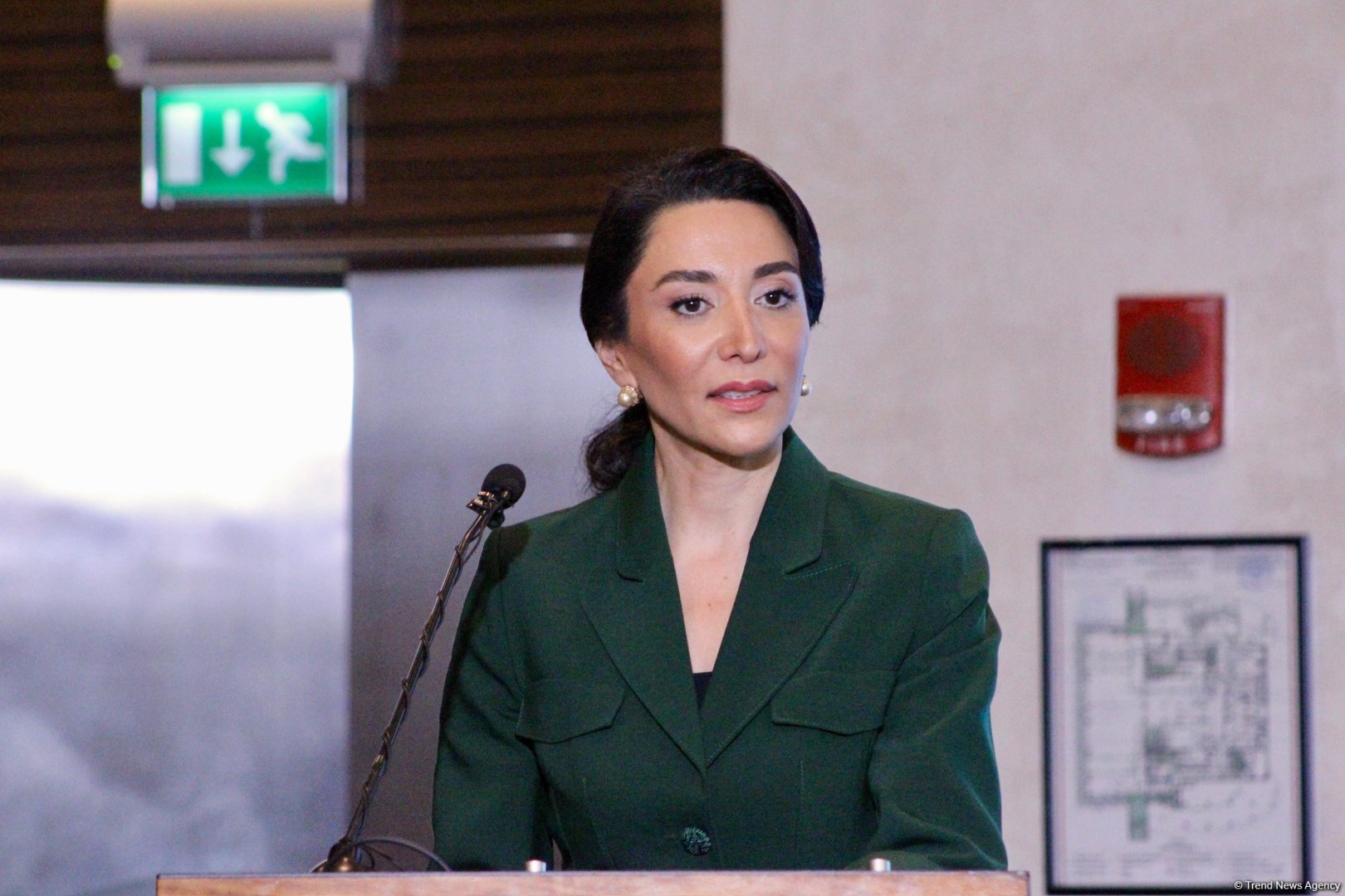 Ombudsmanların Beynəlxalq Bakı Forumunun ilk günü başa çatıb (FOTO) (ƏLAVƏ EDİLİB)