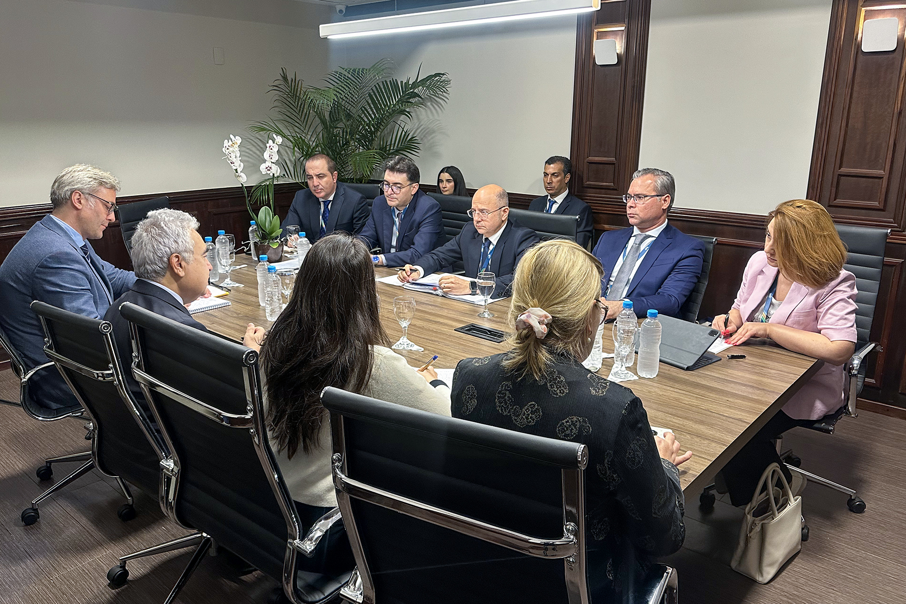 Braziliyada IEA və IRENA ilə COP29-un enerji gündəliyi müzakirə edilib (FOTO)