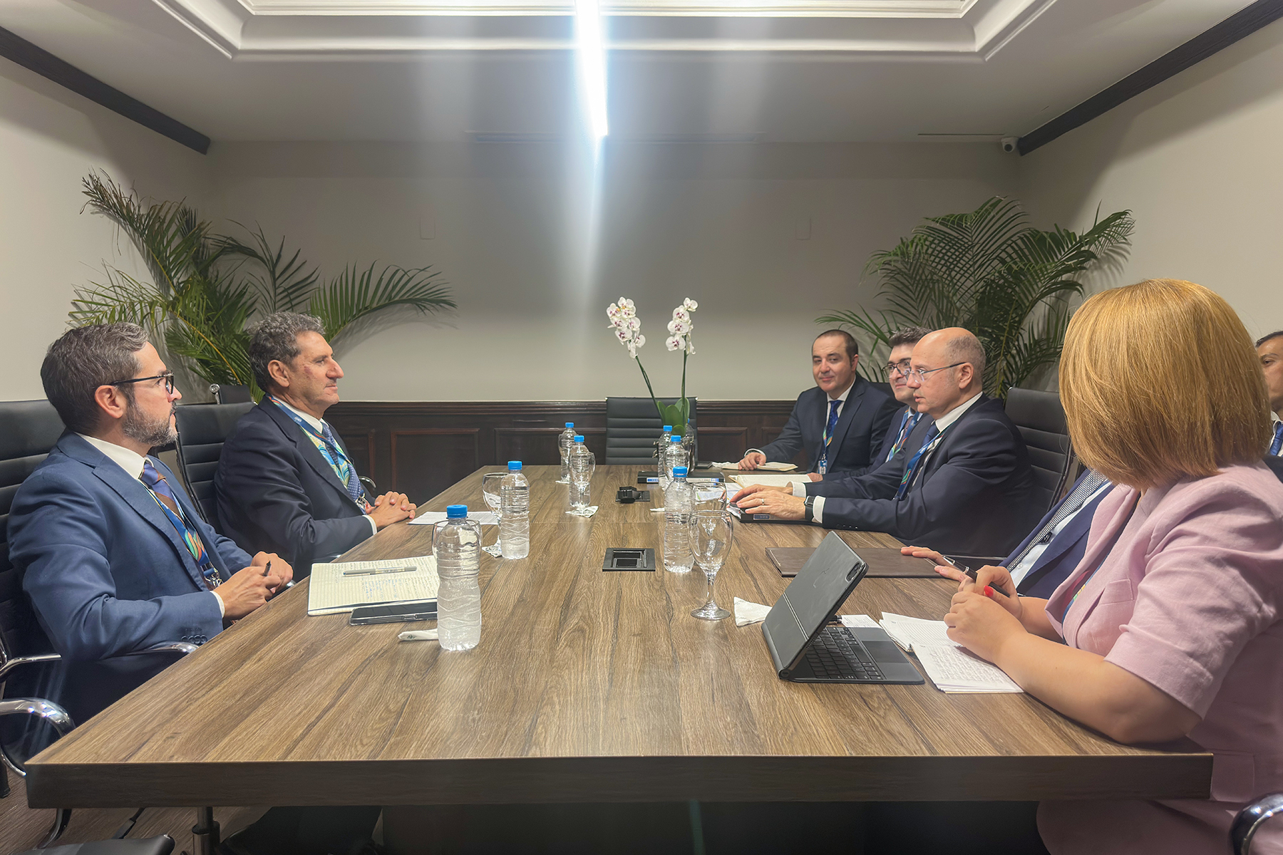 Braziliyada IEA və IRENA ilə COP29-un enerji gündəliyi müzakirə edilib (FOTO)