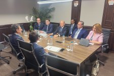 Braziliyada IEA və IRENA ilə COP29-un enerji gündəliyi müzakirə edilib (FOTO)