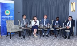 "29 İqlim Söhbəti: COP29-a gedən yol" silsilə tədbirləri çərçivəsində iqlim dəyişikliyi və miqrasiya mövzusunda tədbir keçirilib (FOTO)