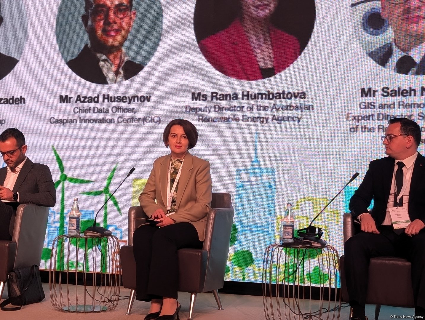 Azərbaycanda elektromobil sektorunun inkişafı üçün milli strategiya yaradılır - Rəna Hümbətova