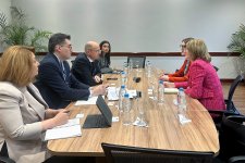 Azərbaycan və İtaliya bərpaolunan enerjinin tədarükü imkanlarını nəzərdən keçiriblər (FOTO)