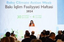 Bakı İqlim Fəaliyyəti Həftəsi ambisiyalı öhdəliklər və strateji təşəbbüslərlə yekunlaşıb (FOTO)