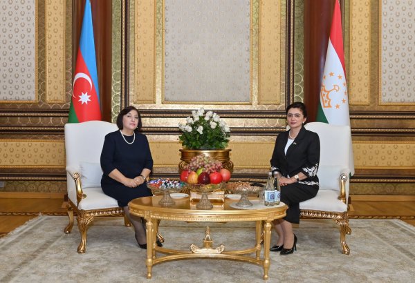 Sahibə Qafarova Tacikistana işgüzar səfərə gedib (FOTO)