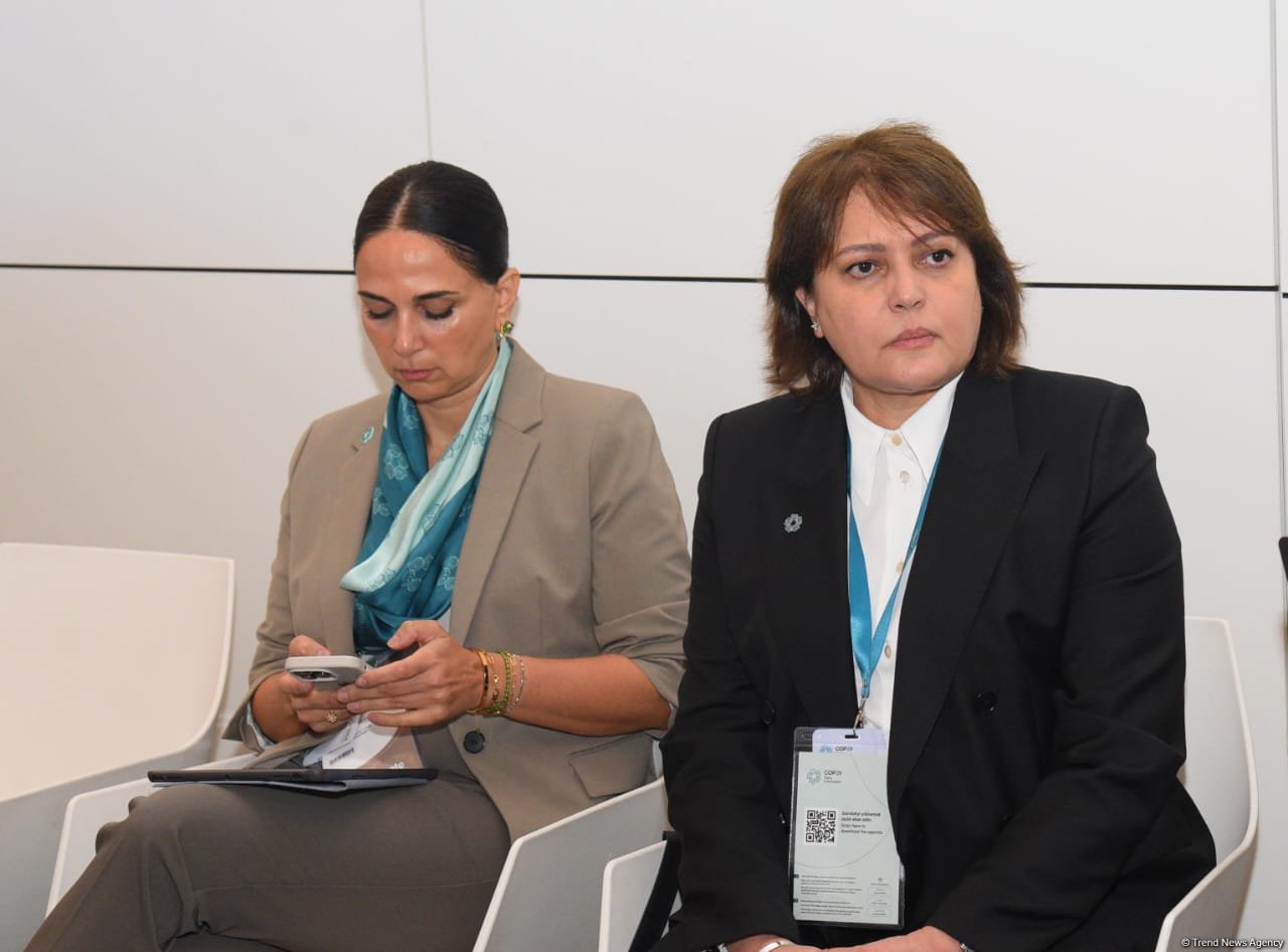 Bakıda Pre-COP29 tədbiri keçirilib (FOTO) (ƏLAVƏ EDİLİB)