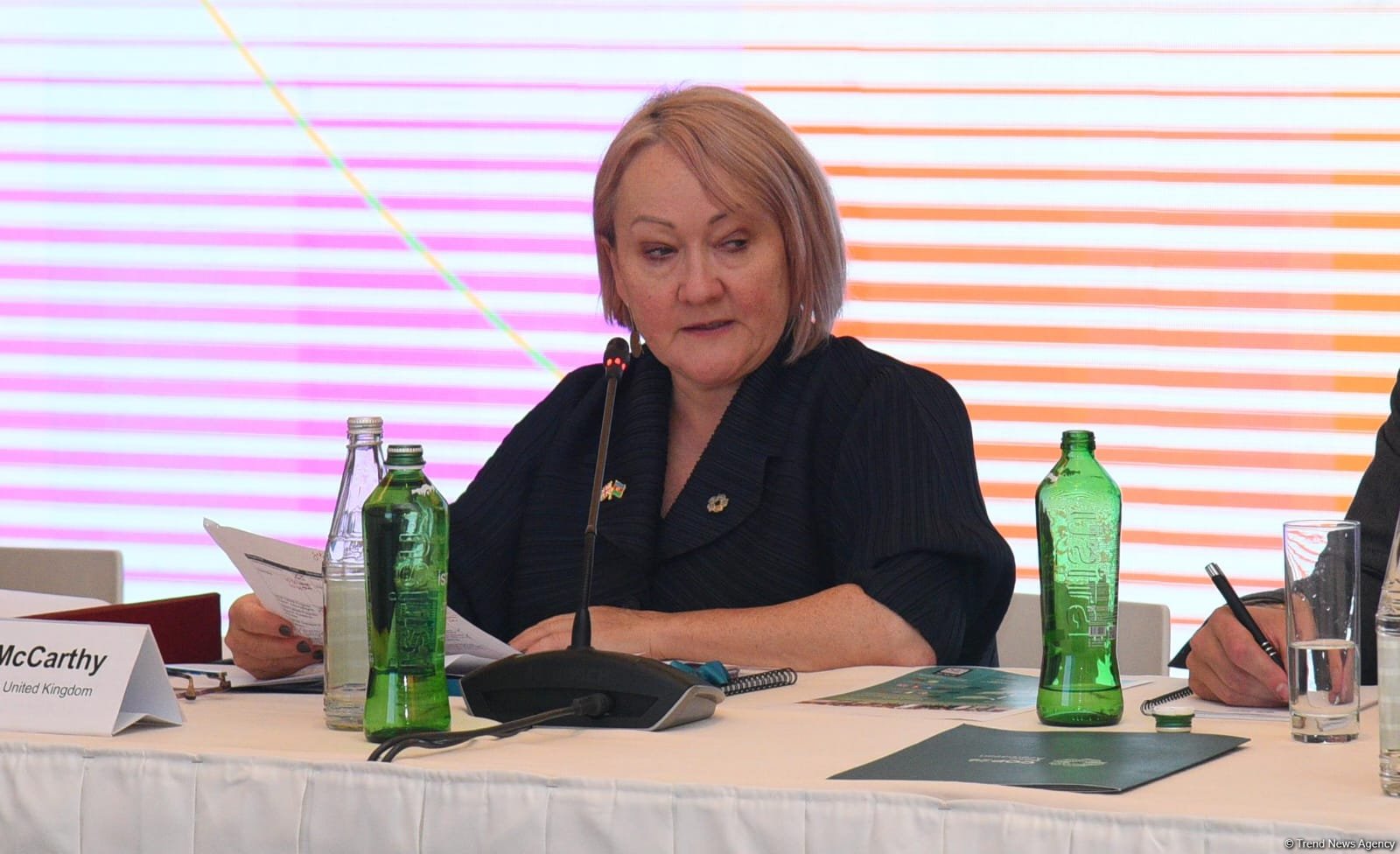 Kerri Makkarti ən az inkişaf etmiş ölkələr üçün lazım olan iqlim maliyyəsinin həcmini açıqlayıb