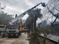 Mərkəzi Nəbatat Bağında təmir-yenidənqurma işləri başa çatmaq üzrədir (FOTO)