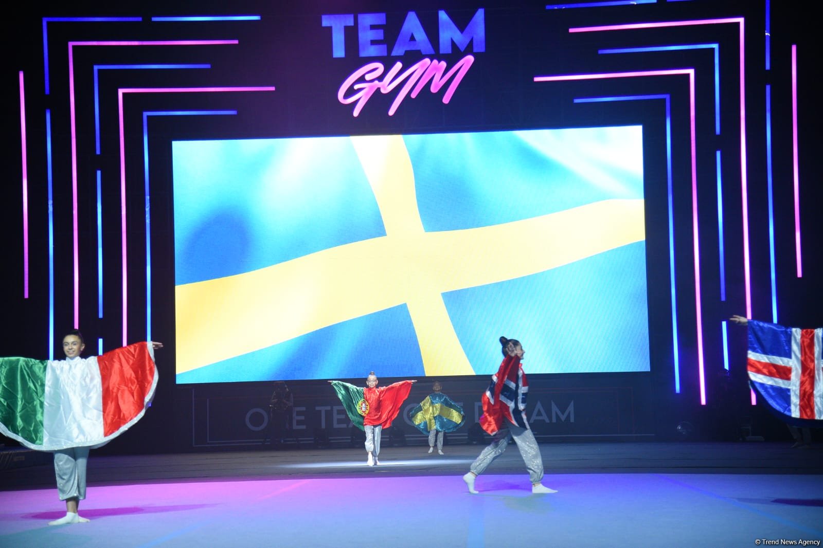 Bakıda “TeamGym” üzrə Avropa çempionatının bağlanış mərasimi keçirilib (FOTO)