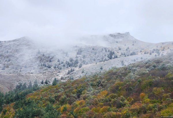 Laçının iki kəndinə qar yağıb (FOTO)