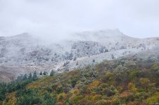 Laçının iki kəndinə qar yağıb (FOTO)