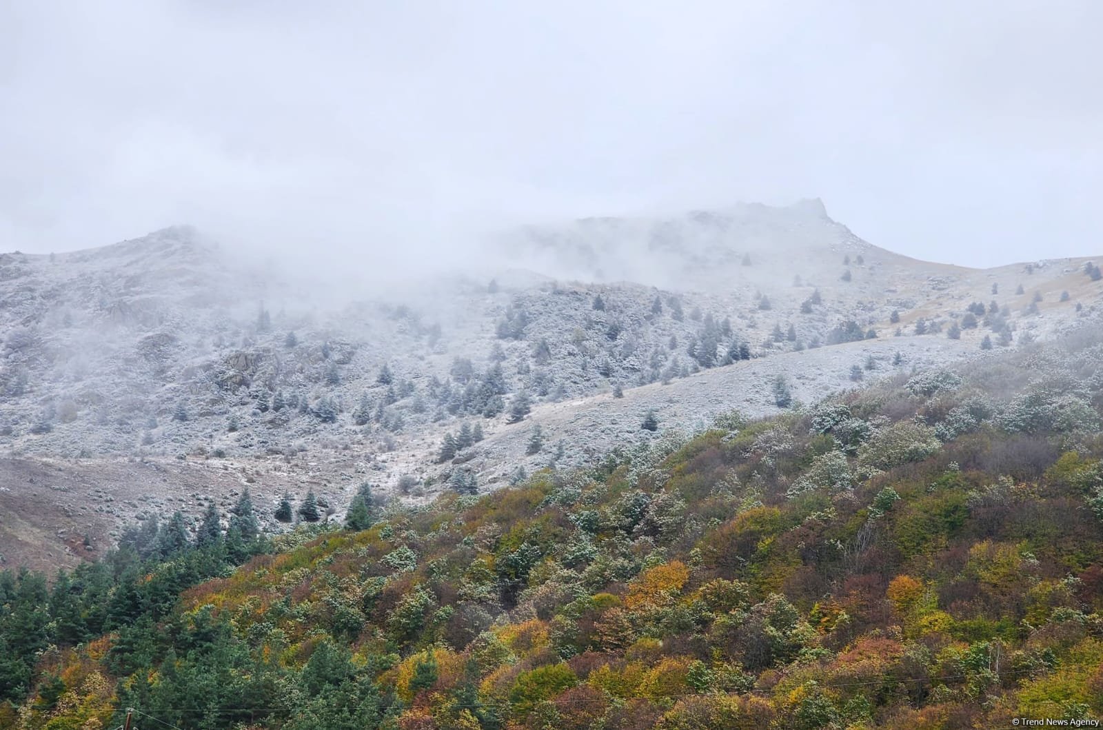 Laçının iki kəndinə qar yağıb (FOTO)