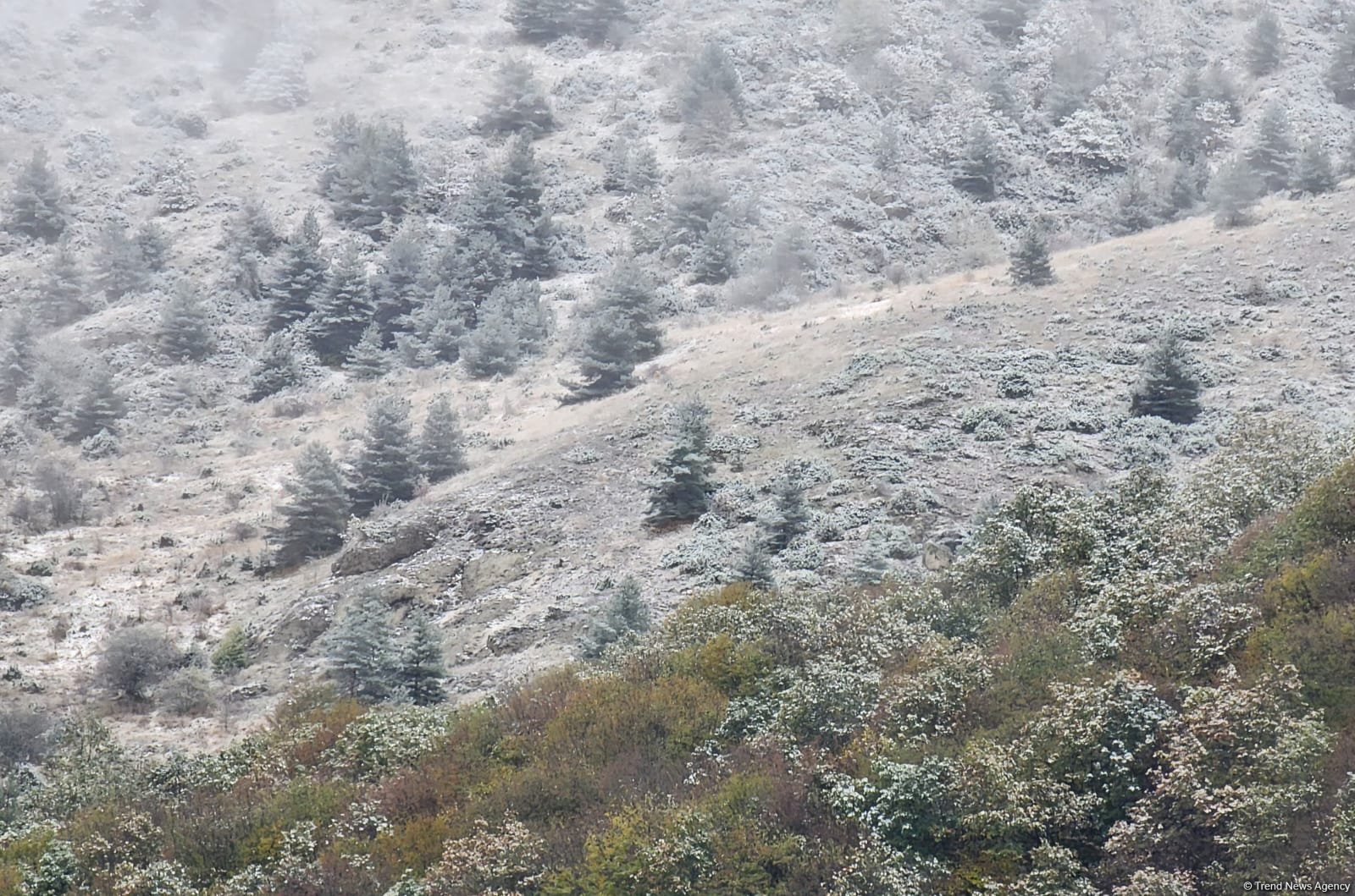 Azərbaycanın bəzi rayonlarında şimşək çaxacaq, dolu düşəcək - XƏBƏRDARLIQ