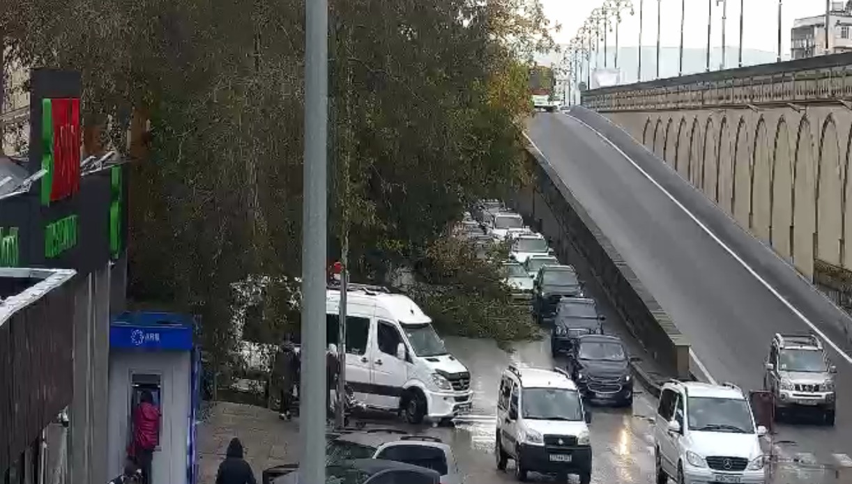 Bakının bu ərazisində ağac yola aşdı: nəqliyyat vasitələrinin hərəkətində çətinlik yarandı