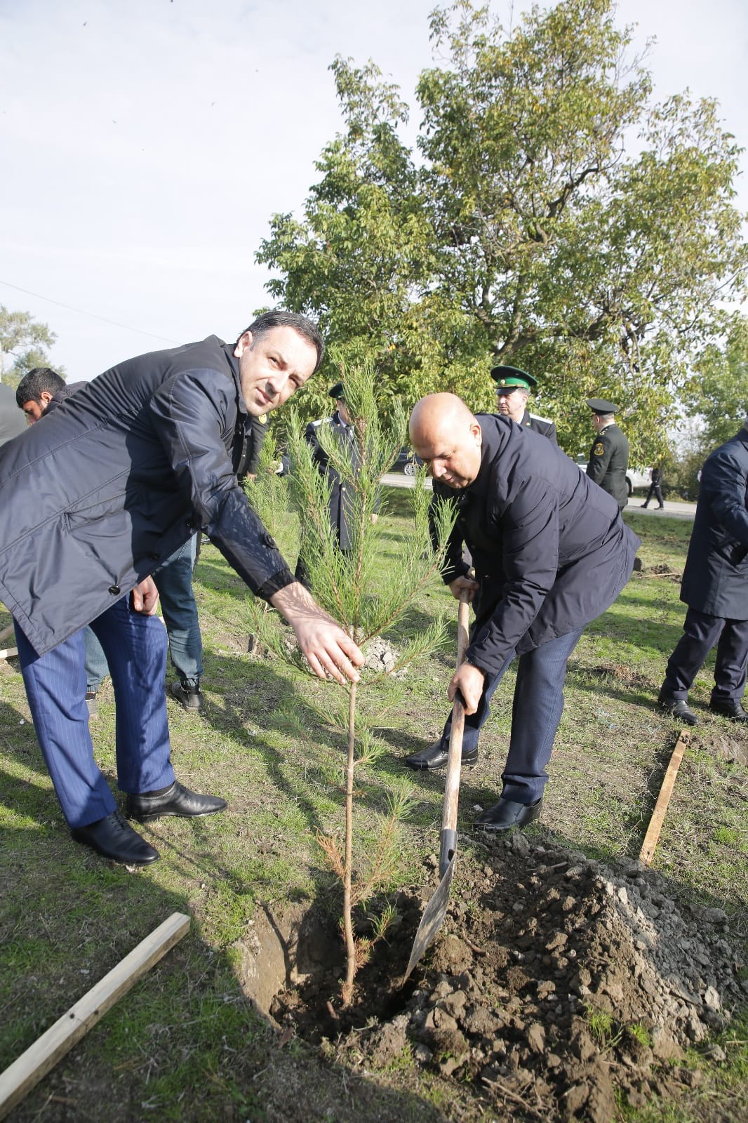 Xaçmazın Çinartala kəndində ağacəkmə aksiyası təşkil olunub (FOTO)