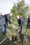Xaçmazın Çinartala kəndində ağacəkmə aksiyası təşkil olunub (FOTO)