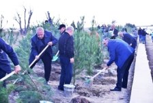 Bakı-Ələt magistral yolunun kənarındakı boş ərazidə ağacəkmə aksiyası keçirilib (FOTO)