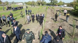 Xaçmazın Çinartala kəndində ağacəkmə aksiyası təşkil olunub (FOTO)