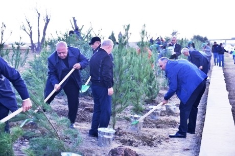 Bakı-Ələt magistral yolunun kənarındakı boş ərazidə ağacəkmə aksiyası keçirilib (FOTO)