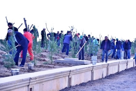 Bakı-Ələt magistral yolunun kənarındakı boş ərazidə ağacəkmə aksiyası keçirilib (FOTO)