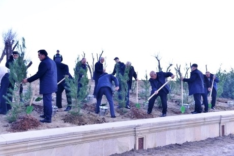 Bakı-Ələt magistral yolunun kənarındakı boş ərazidə ağacəkmə aksiyası keçirilib (FOTO)